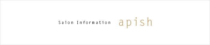 Salon Information apish