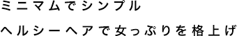ߥ˥ޥǥץ롣إ륷إǽäפʾ夲