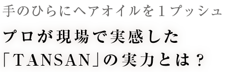 ΤҤ˥إ1ץå ץ´TANSANפμϤȤϡ